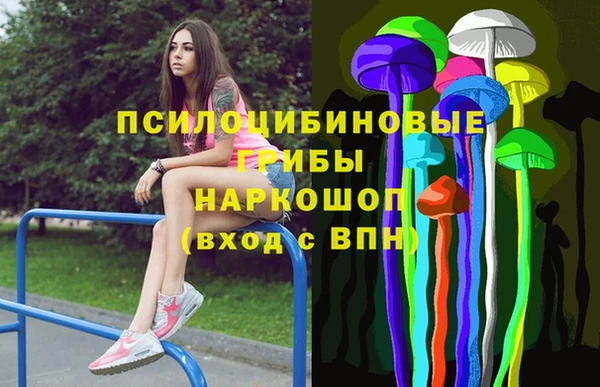 ГАЛЛЮЦИНОГЕННЫЕ ГРИБЫ Балахна