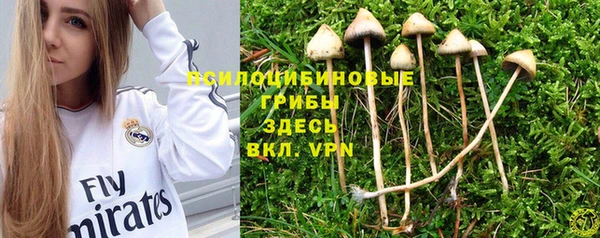 ГАЛЛЮЦИНОГЕННЫЕ ГРИБЫ Балахна